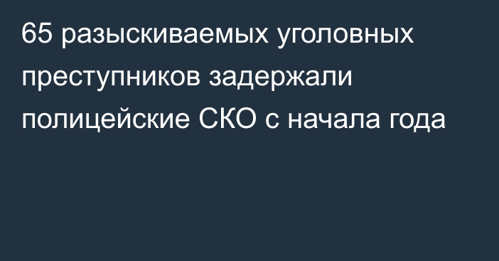 65 разыскиваемых уголовных преступников задержали полицейские СКО с начала года