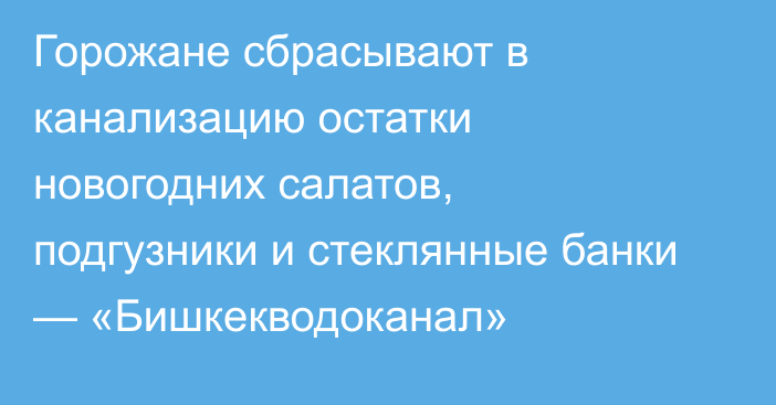 Горожане сбрасывают в канализацию остатки новогодних салатов, подгузники и стеклянные банки — «Бишкекводоканал»