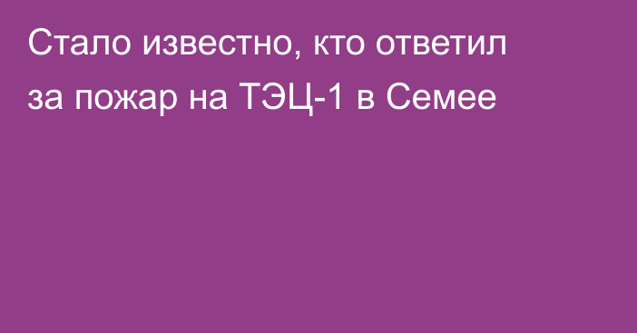 Стало известно, кто ответил за пожар на ТЭЦ-1 в Семее