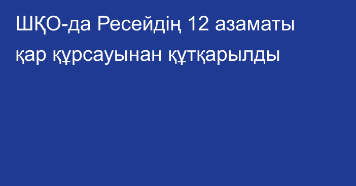 ШҚО-да Ресейдің 12 азаматы қар құрсауынан құтқарылды