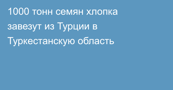 1000 тонн семян хлопка завезут из Турции в Туркестанскую область