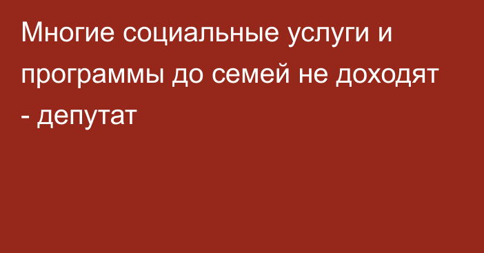 Многие социальные услуги и программы до семей не доходят - депутат