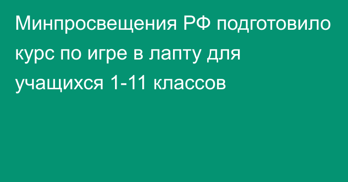 Минпросвещения РФ подготовило курс по игре в лапту для учащихся 1-11 классов