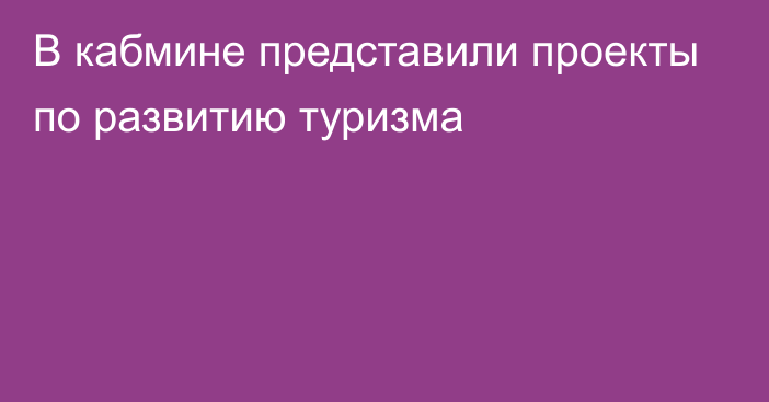 В кабмине представили проекты по развитию туризма