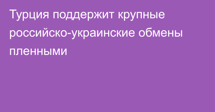 Турция поддержит крупные российско-украинские обмены пленными