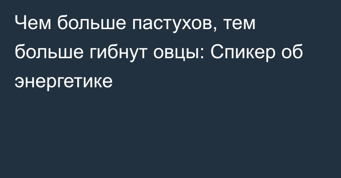 Чем больше пастухов, тем больше гибнут овцы: Спикер об энергетике