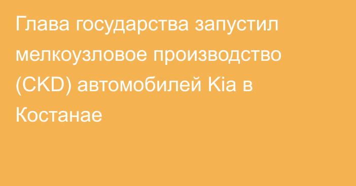 Глава государства запустил мелкоузловое производство (CKD) автомобилей Kia в Костанае