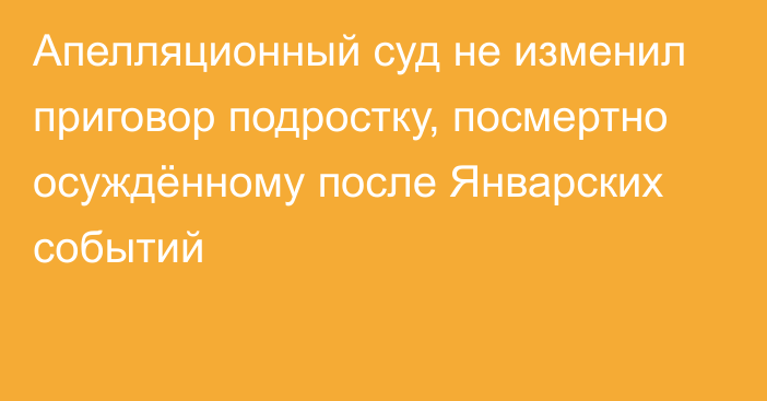 Апелляционный суд не изменил приговор подростку, посмертно осуждённому после Январских событий