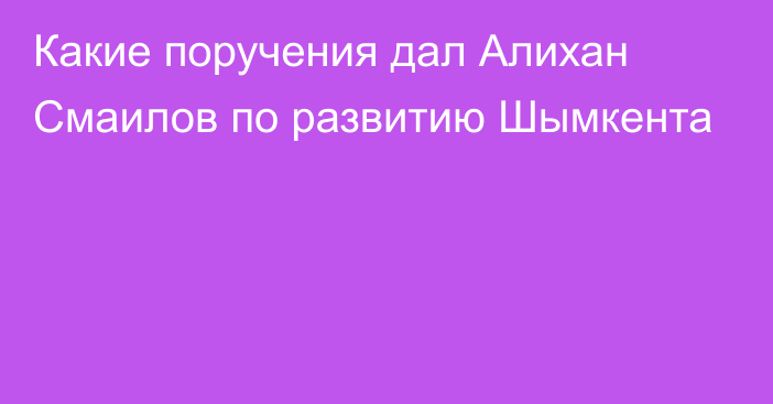 Какие поручения дал Алихан Смаилов по развитию Шымкента