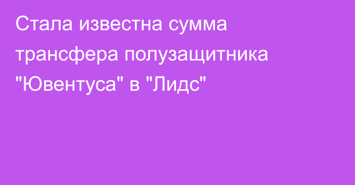 Стала известна сумма трансфера полузащитника 