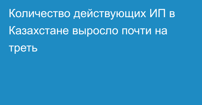 Количество действующих ИП в Казахстане выросло почти на треть