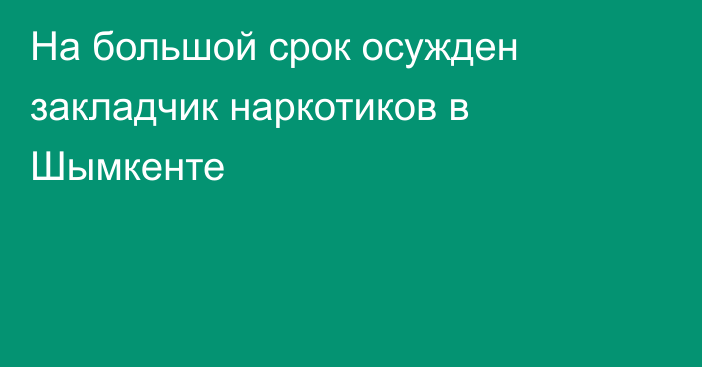 На большой срок осужден закладчик наркотиков в Шымкенте