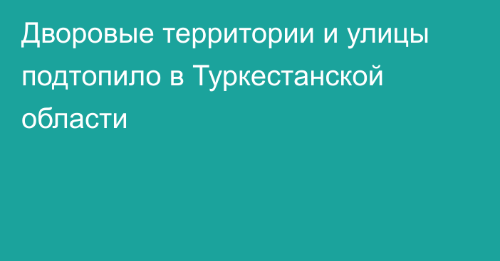 Дворовые территории и улицы подтопило в Туркестанской области