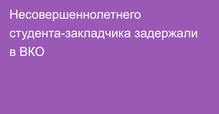 Несовершеннолетнего студента-закладчика задержали в ВКО