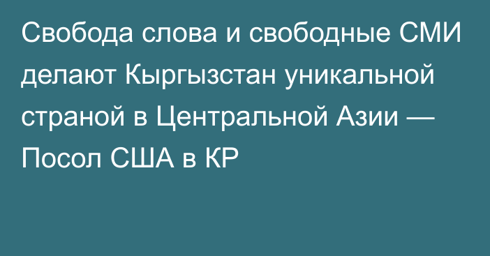 Свобода слова и свободные СМИ делают Кыргызстан уникальной страной в Центральной Азии — Посол США в КР