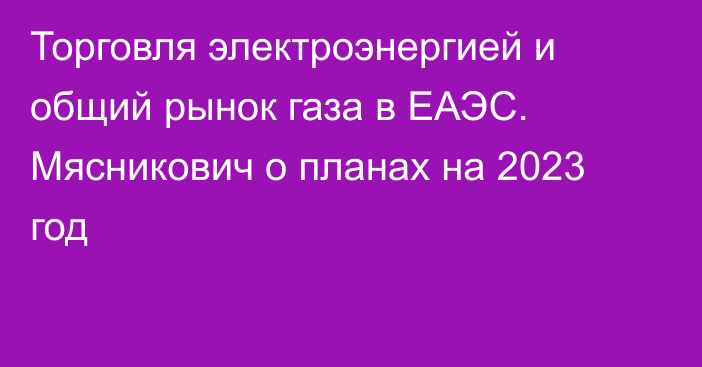 Торговля электроэнергией и общий рынок газа в ЕАЭС. Мясникович о планах на 2023 год