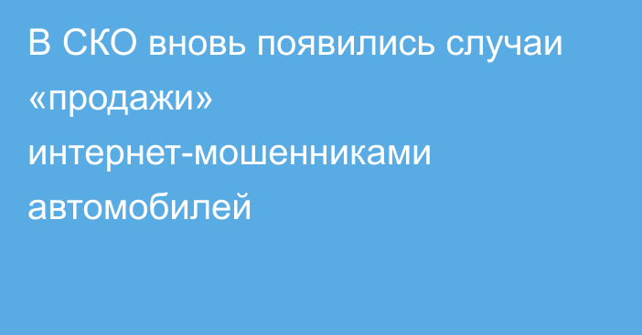 В СКО вновь появились случаи «продажи» интернет-мошенниками автомобилей