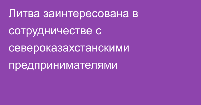 Литва заинтересована в сотрудничестве с североказахстанскими предпринимателями