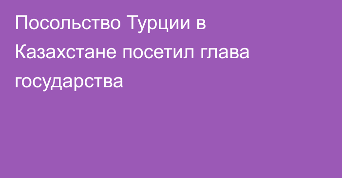 Посольство Турции в Казахстане посетил глава государства