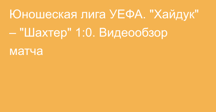 Юношеская лига УЕФА. 