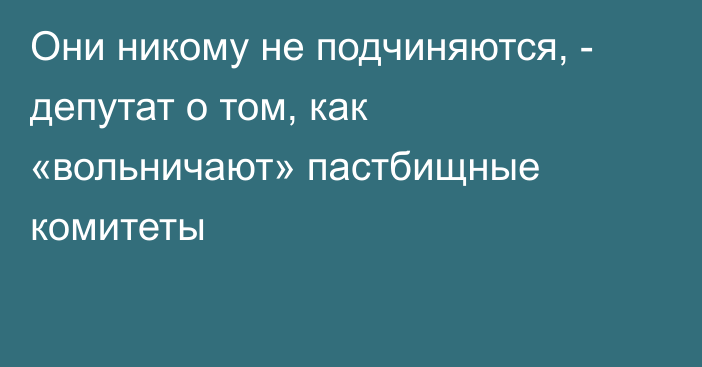 Они никому не подчиняются, - депутат о том, как «вольничают» пастбищные комитеты