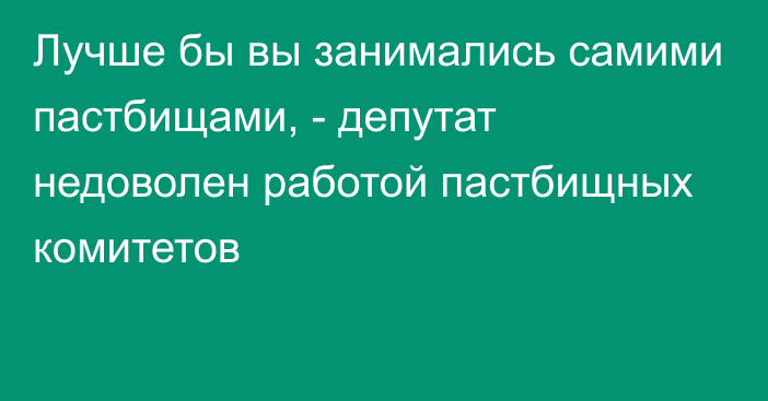 Лучше бы вы занимались самими пастбищами, - депутат недоволен работой пастбищных комитетов