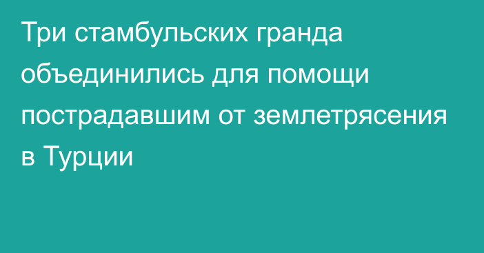 Три стамбульских гранда объединились для помощи пострадавшим от землетрясения в Турции