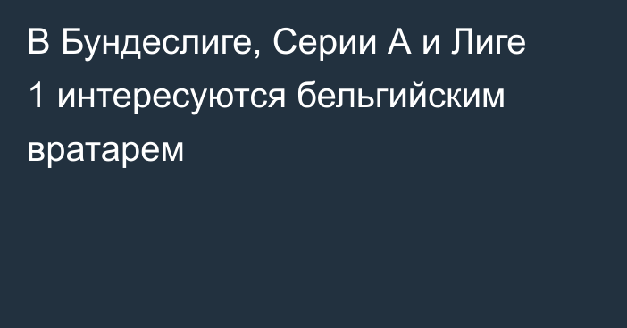 В Бундеслиге, Серии А и Лиге 1 интересуются бельгийским вратарем