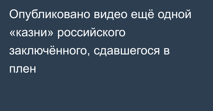 Опубликовано видео ещё одной «казни» российского заключённого, сдавшегося в плен