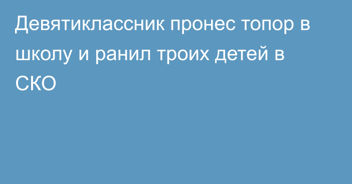 Девятиклассник пронес топор в школу и ранил троих детей в СКО