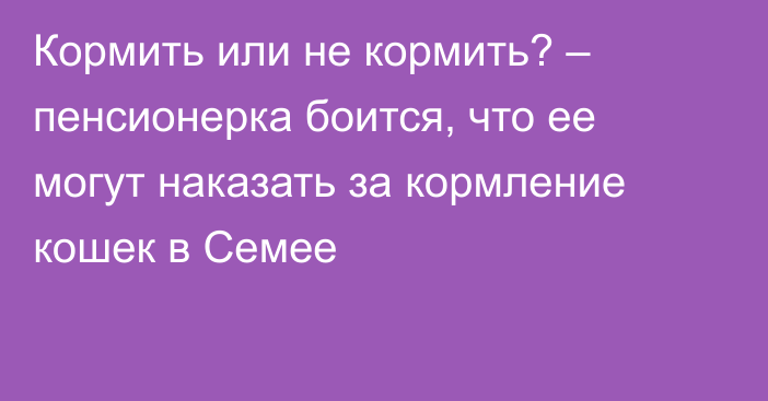 Кормить или не кормить? – пенсионерка боится, что ее могут наказать за кормление кошек в Семее