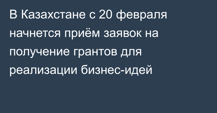 В Казахстане с 20 февраля начнется приём заявок на получение грантов для реализации бизнес-идей