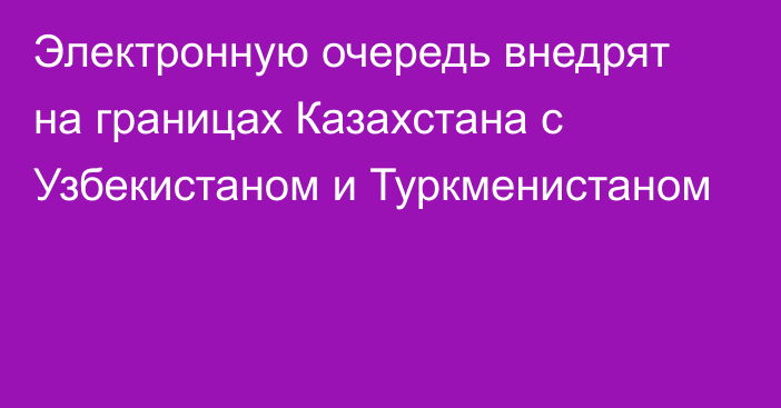 Электронную очередь внедрят на границах Казахстана с Узбекистаном и Туркменистаном