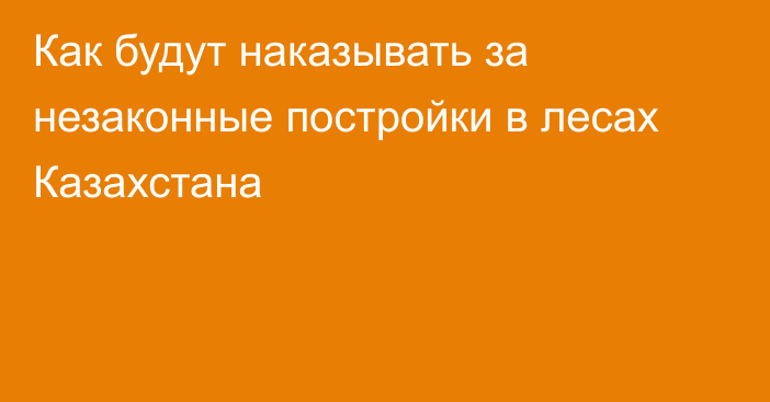 Как будут наказывать за незаконные постройки в лесах Казахстана