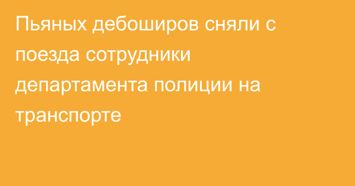 Пьяных дебоширов сняли с поезда сотрудники департамента полиции на транспорте