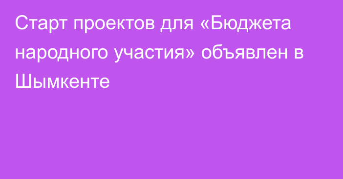 Старт проектов для «Бюджета народного участия» объявлен в Шымкенте