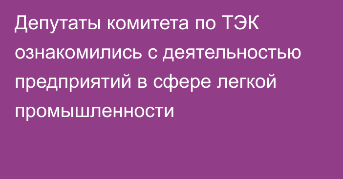 Депутаты комитета по ТЭК ознакомились с деятельностью предприятий в сфере легкой промышленности