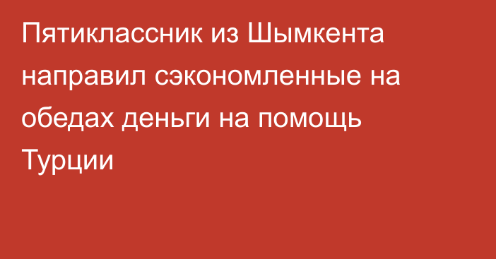 Пятиклассник из Шымкента направил сэкономленные на обедах деньги на помощь Турции