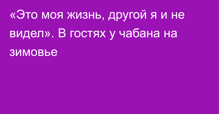 «Это моя жизнь, другой я и не видел». В гостях у чабана на зимовье