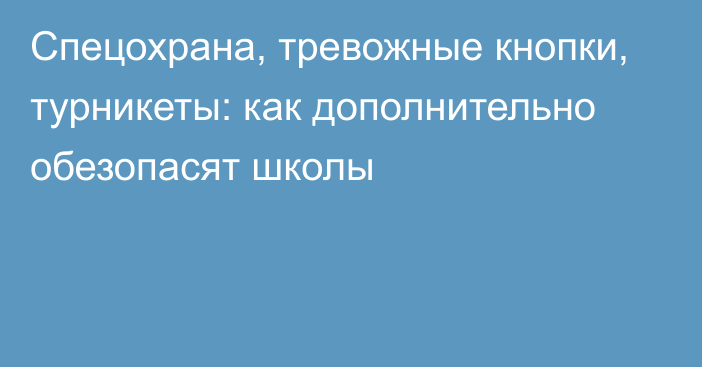 Спецохрана, тревожные кнопки, турникеты: как дополнительно обезопасят школы