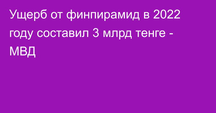 Ущерб от финпирамид в 2022 году составил 3 млрд тенге - МВД