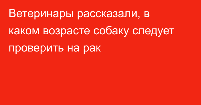 Ветеринары рассказали, в каком возрасте собаку следует проверить на рак