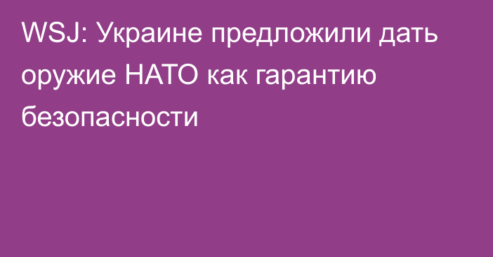 WSJ: Украине предложили дать оружие НАТО как гарантию безопасности