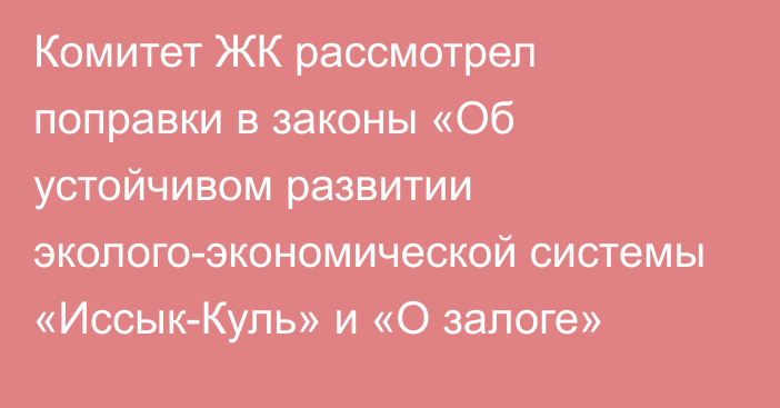 Комитет ЖК рассмотрел поправки в законы «Об устойчивом развитии эколого-экономической системы «Иссык-Куль» и «О залоге»