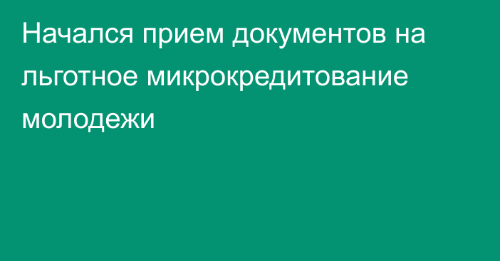 Начался прием документов на льготное микрокредитование молодежи