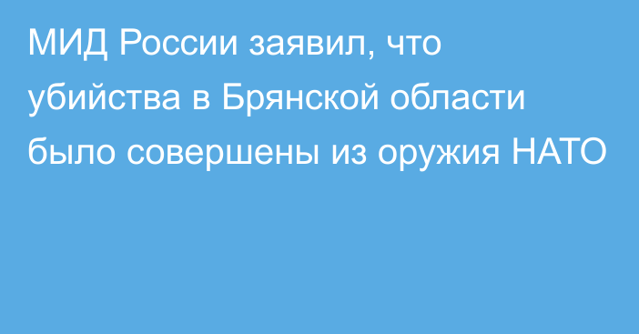 МИД России заявил, что убийства в Брянской области было совершены из оружия НАТО