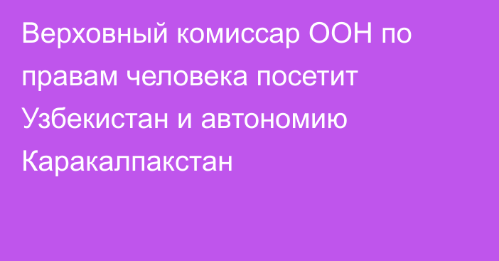 Верховный комиссар ООН по правам человека посетит Узбекистан и автономию Каракалпакстан