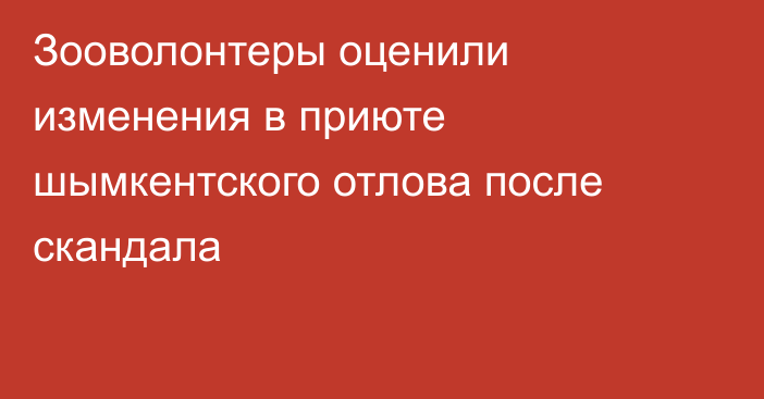 Зооволонтеры оценили изменения в приюте шымкентского отлова после скандала