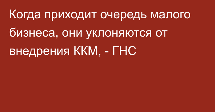 Когда приходит очередь малого бизнеса, они уклоняются от внедрения ККМ, - ГНС