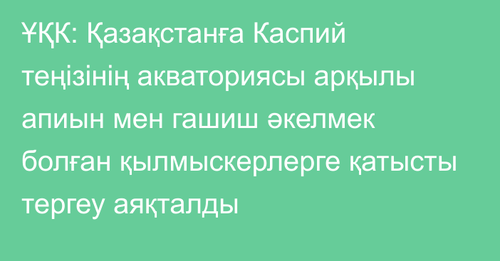 ҰҚК: Қазақстанға Каспий теңізінің акваториясы арқылы апиын мен гашиш әкелмек болған қылмыскерлерге қатысты тергеу аяқталды